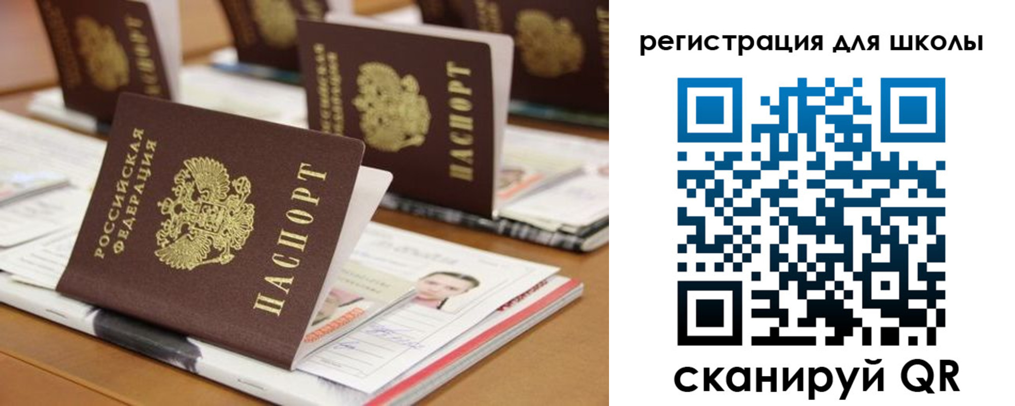 прописка законно в Железногорске